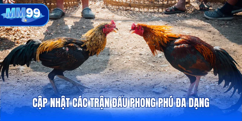 Cập nhật các trận đấu phong phú đa dạng