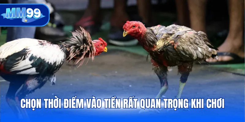 Chọn thời điểm vào tiền rất quan trọng khi chơi