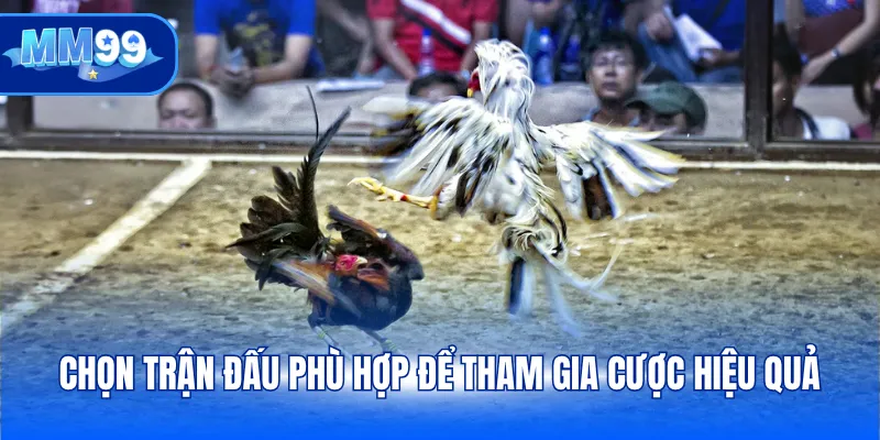Chọn trận đấu phù hợp để tham gia cược hiệu quả