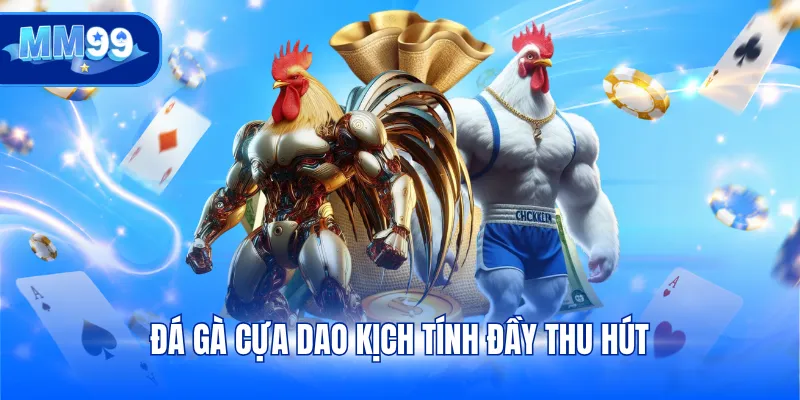 Đá gà cựa dao kịch tính đầy thu hút