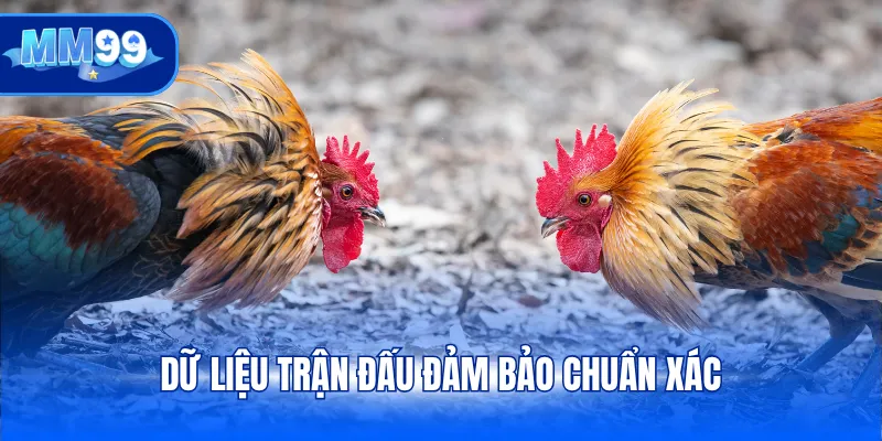 Dữ liệu trận đấu đảm bảo chuẩn xác