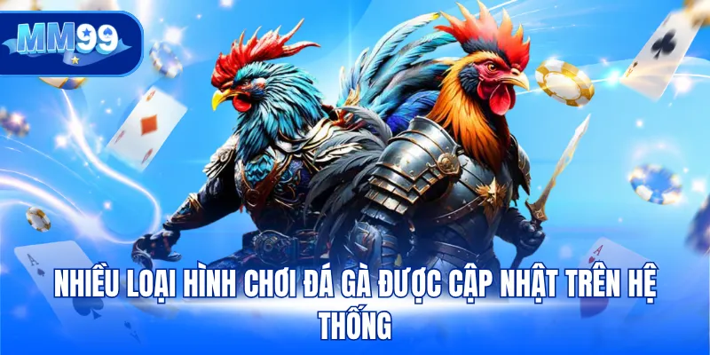 Nhiều loại hình chơi đá gà được cập nhật trên hệ thống