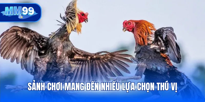 Sảnh chơi mang đến nhiều lựa chọn thú vị